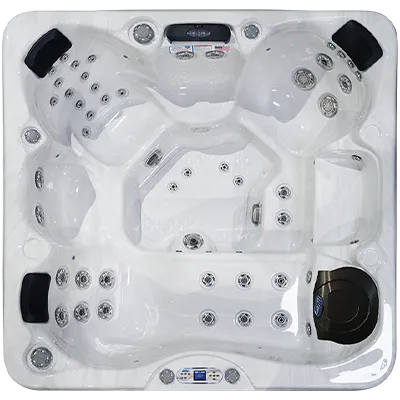 Avalon EC-849L hot tubs for sale in Ames